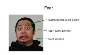 Fear Meaning に対する画像結果