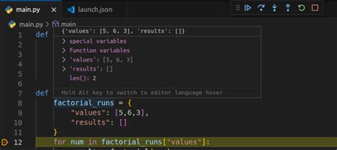 Image result for Visual Studio Python Debugging Output