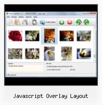 Image result for JavaScript Button Overlay