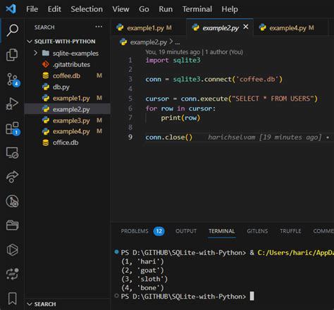 Create SQL Database Python に対する画像結果