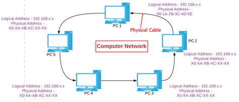 Image result for Basic Computer Network