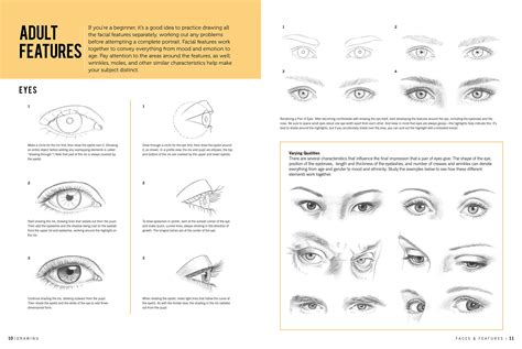 Image result for Basic Drawing Tutorials Face
