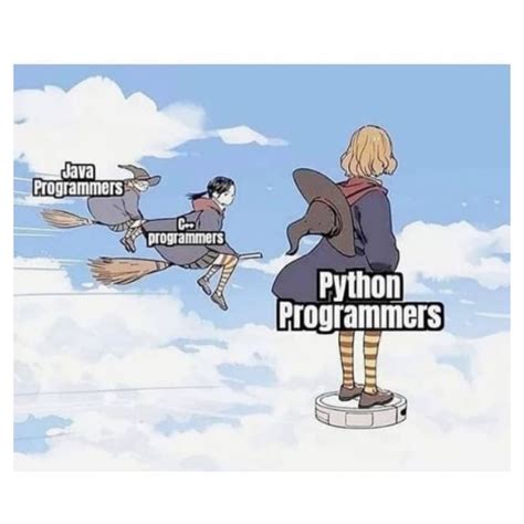 Afbeeldingsresultaten voor Python Programmer Meme