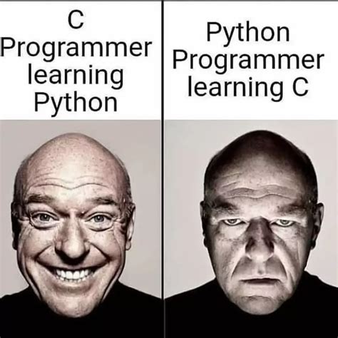 Afbeeldingsresultaten voor Python Programmer Meme