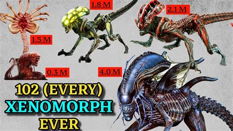 Image result for Alien Xenomorph Types