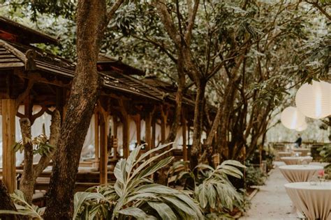 Image result for Redland Koi Gardens