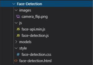 Image result for Face Detection Master JavaScript