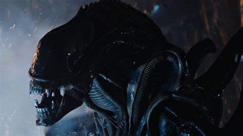 Image result for Alien Xenomorph Types