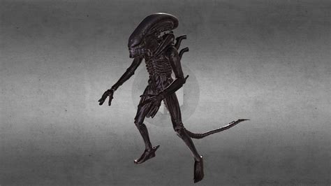 Image result for Alien Xenomorph Model