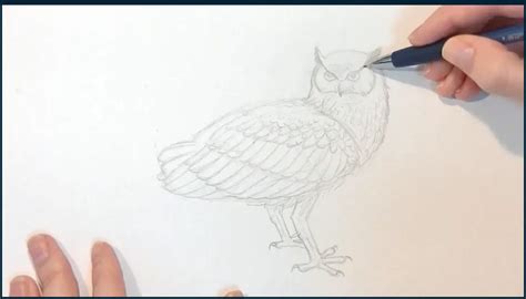 Image result for Simple Drawing