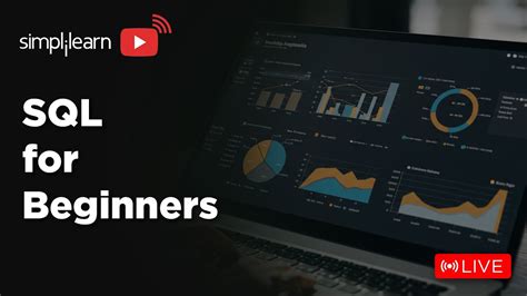 Image result for SQL Programs for Beginners