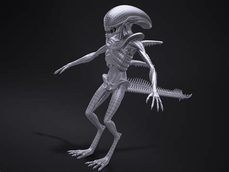 Image result for Alien Xenomorph Model