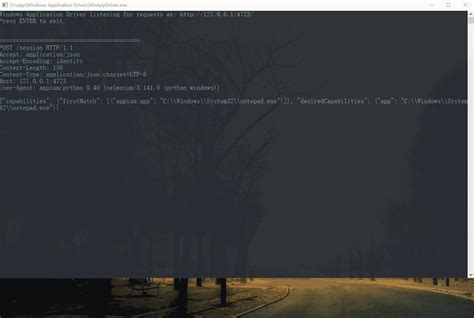 Image result for Winappdriver Using Python