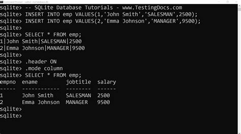 Toradh íomhá ar Python Variabiliser Insert into SQLite