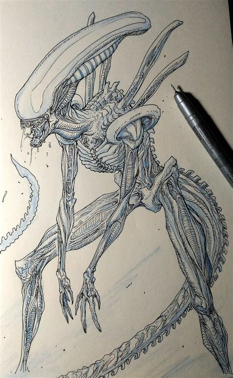 Image result for Alien Xenomorph Drawing
