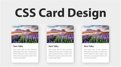 Afbeeldingsresultaten voor Card In Html And Css