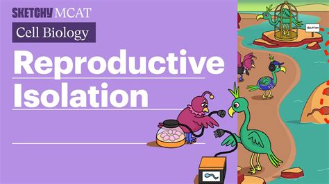 Image result for Types of Reproductive Isolation