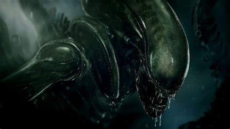 Image result for Alien vs Predator Xenomorph
