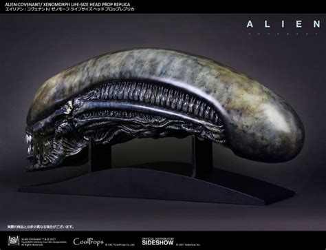 Image result for Alien Kop
