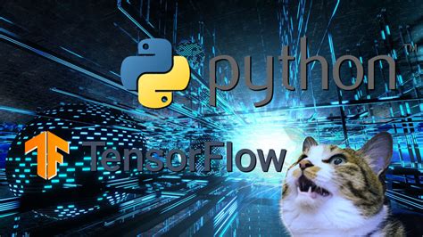 Python Code Using Tensorflow に対する画像結果