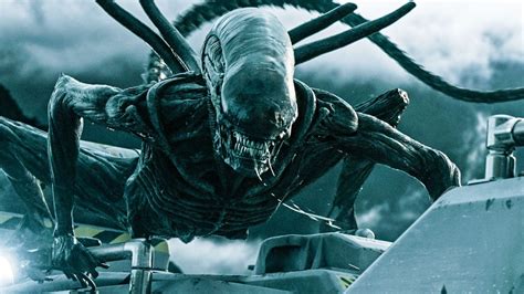 Image result for Alien Horor