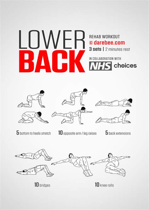 Image result for Basic Lumbar Exercise Program