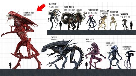 Image result for Alien Xenomorph Types