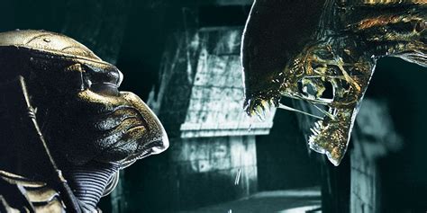 Image result for Alien vs Predator Xenomorph