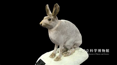 Taxidemy 3D Modeling Tutorial Motion Capture に対する画像結果