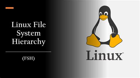 Image result for Basic Shell Scripting