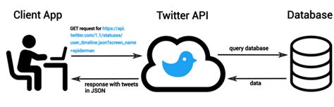 Image result for Using Twitter API in C