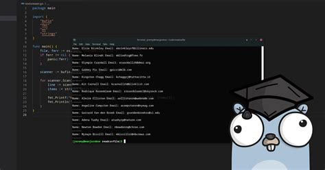 Toradh íomhá ar VB.NET Read Text File