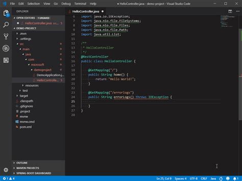 Bildergebnis für Visual Studio Code Java Projects
