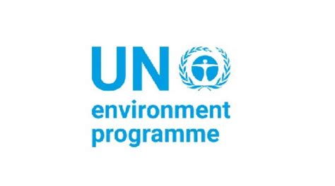 Image result for Un Environment Program