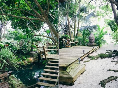 Image result for Redland Koi Gardens