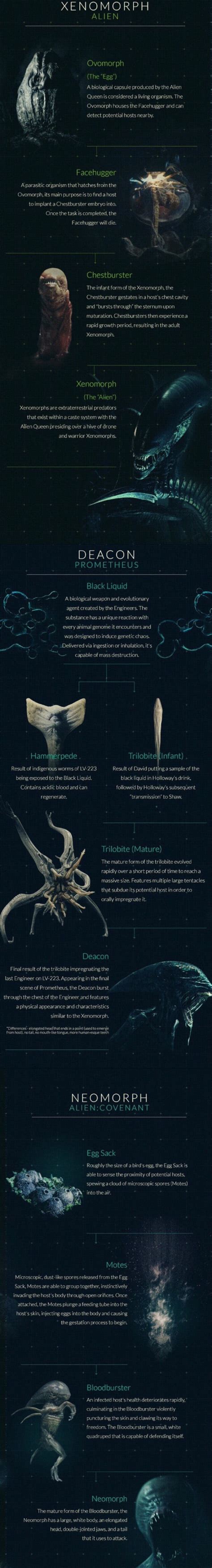 Image result for Alien Xenomorph Types