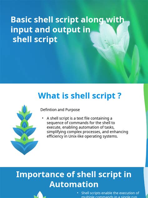 Image result for Basic Shell Scripting