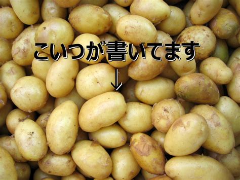 Python Code Using Tensorflow に対する画像結果