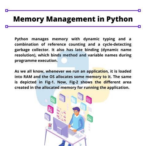 Python Memory Management に対する画像結果