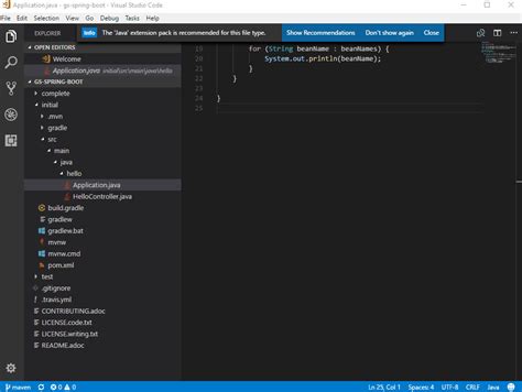 Java Web Development in Visual Studio Code に対する画像結果