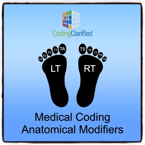 Image result for Coding Modifiers