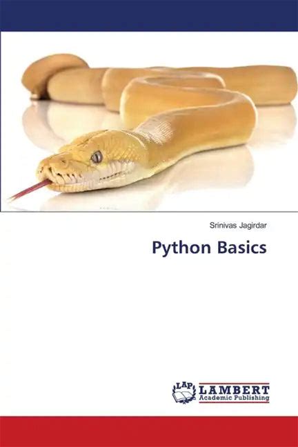 Python Basics - Paperback