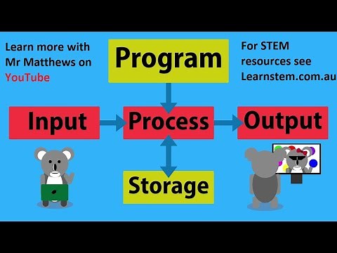 CS Basics: Input Process Output