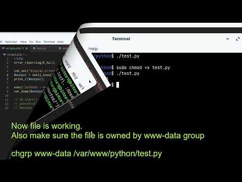 Execute Python file using PHP [2022]