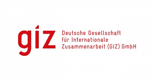 GIZ: about us