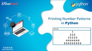 Number Pattern Programs in Python - Newtum