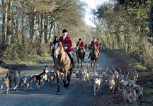 Hunting ban plan for Northern Ireland is 'not a serious threat' - Horse & Hound