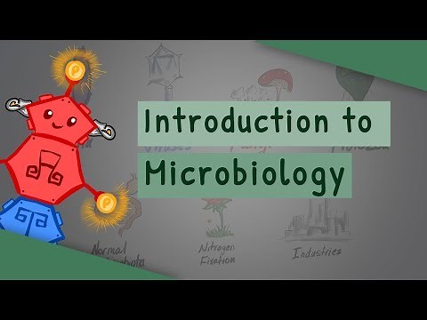 Introduction To Microbiology
