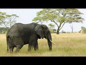 Simple AES Encryption - Cryptography with Python