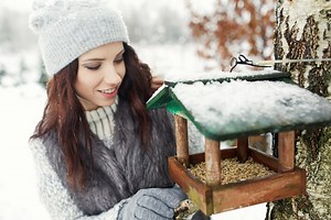 Feeding Birds 101: Everything You NEED To Get Started Today!